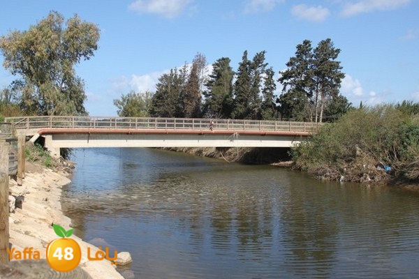 byareg 0226 (137).JPG